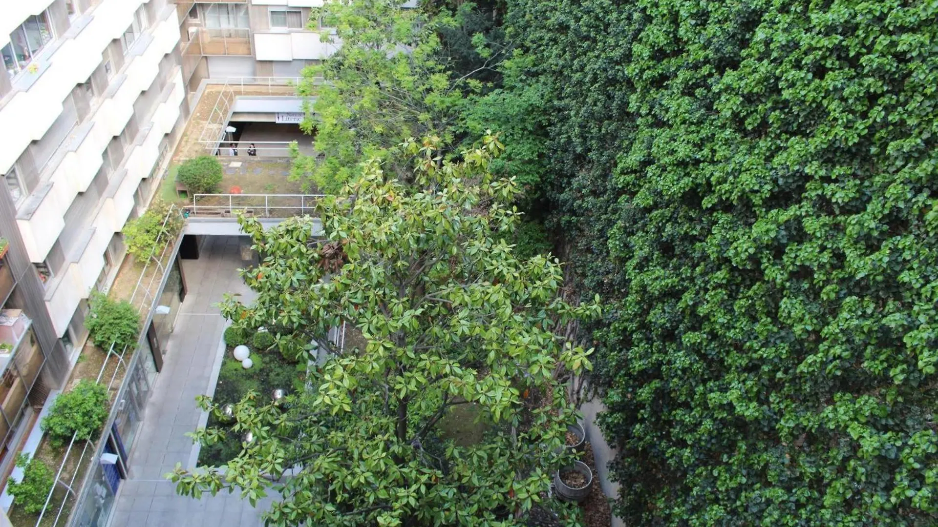 Short Apartment Paris
